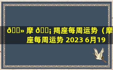 🌻 摩 🐡 羯座每周运势（摩羯座每周运势 2023 6月19日）